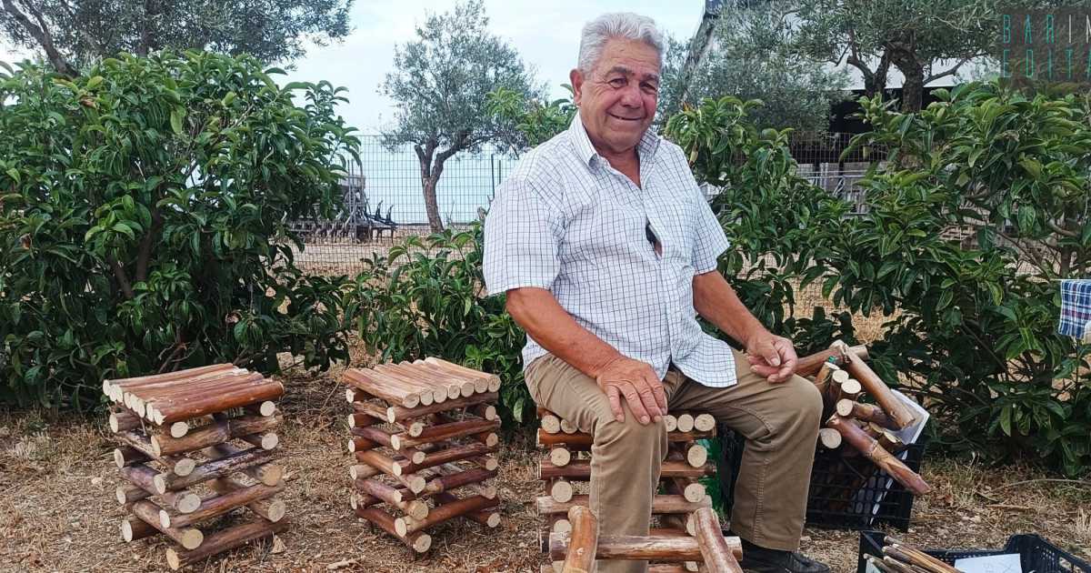 Ruvo, Francesco e l'arte di costruire gli "squanne": gli sgabelli degli antichi pastori